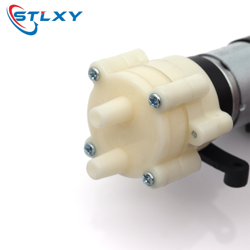 R385 워터 펌프 12V 다이어프램 펌프 6V 소형  - Vacuum Chamber Kit With Pump 리뷰 및 가격